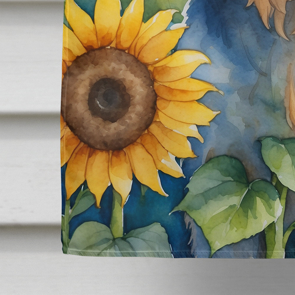 Lhasa Apso in Sunflowers House Flag