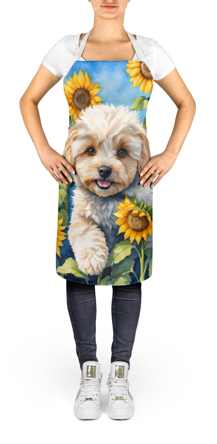 Maltipoo in Sunflowers Apron