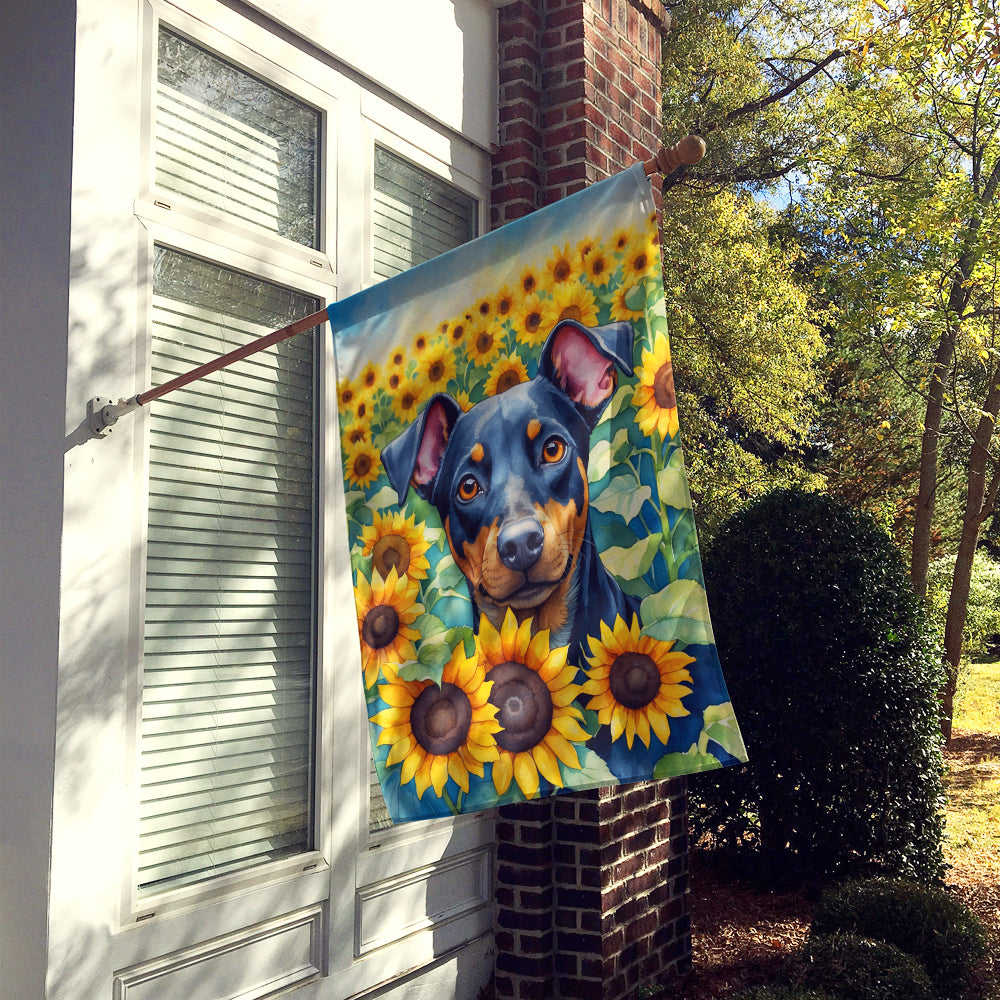 Manchester Terrier in Sunflowers House Flag