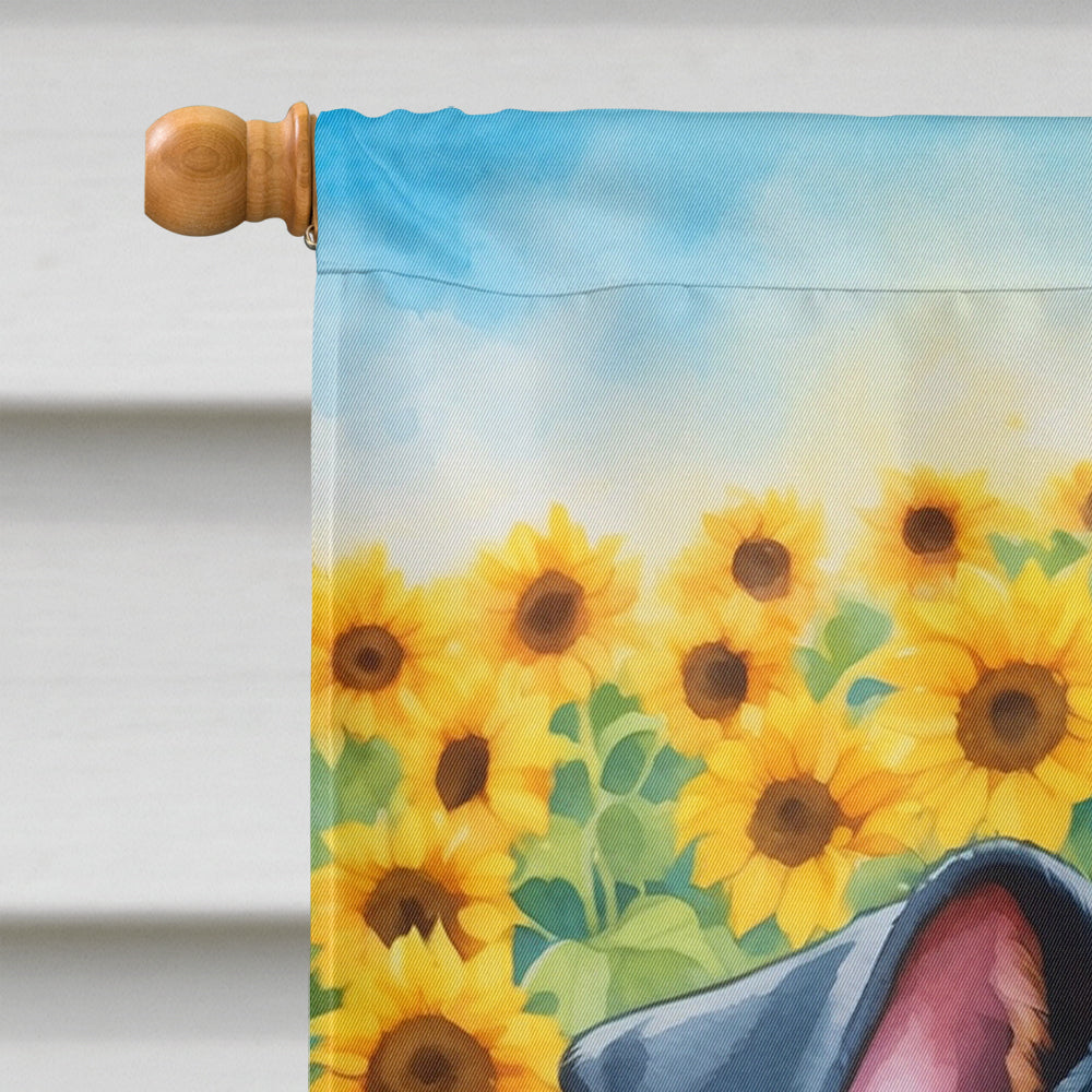 Manchester Terrier in Sunflowers House Flag