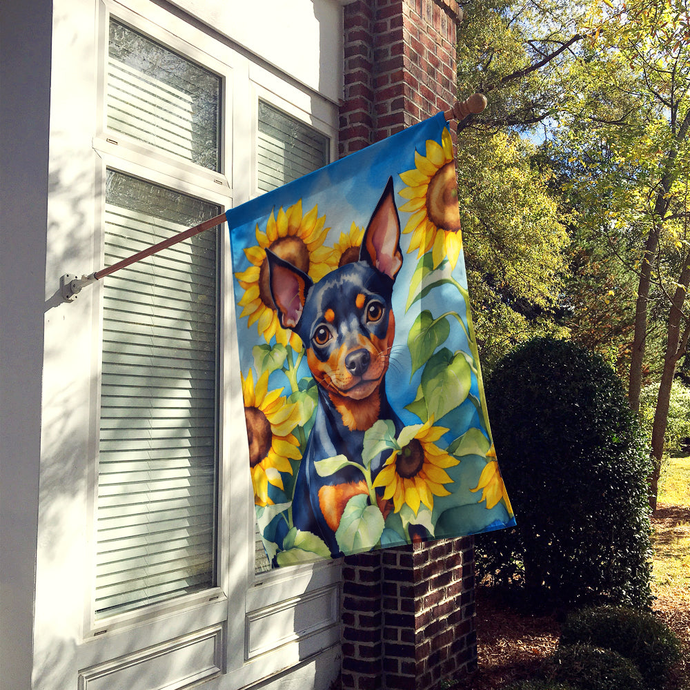 Miniature Pinscher in Sunflowers House Flag