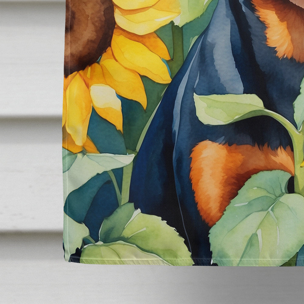 Miniature Pinscher in Sunflowers House Flag