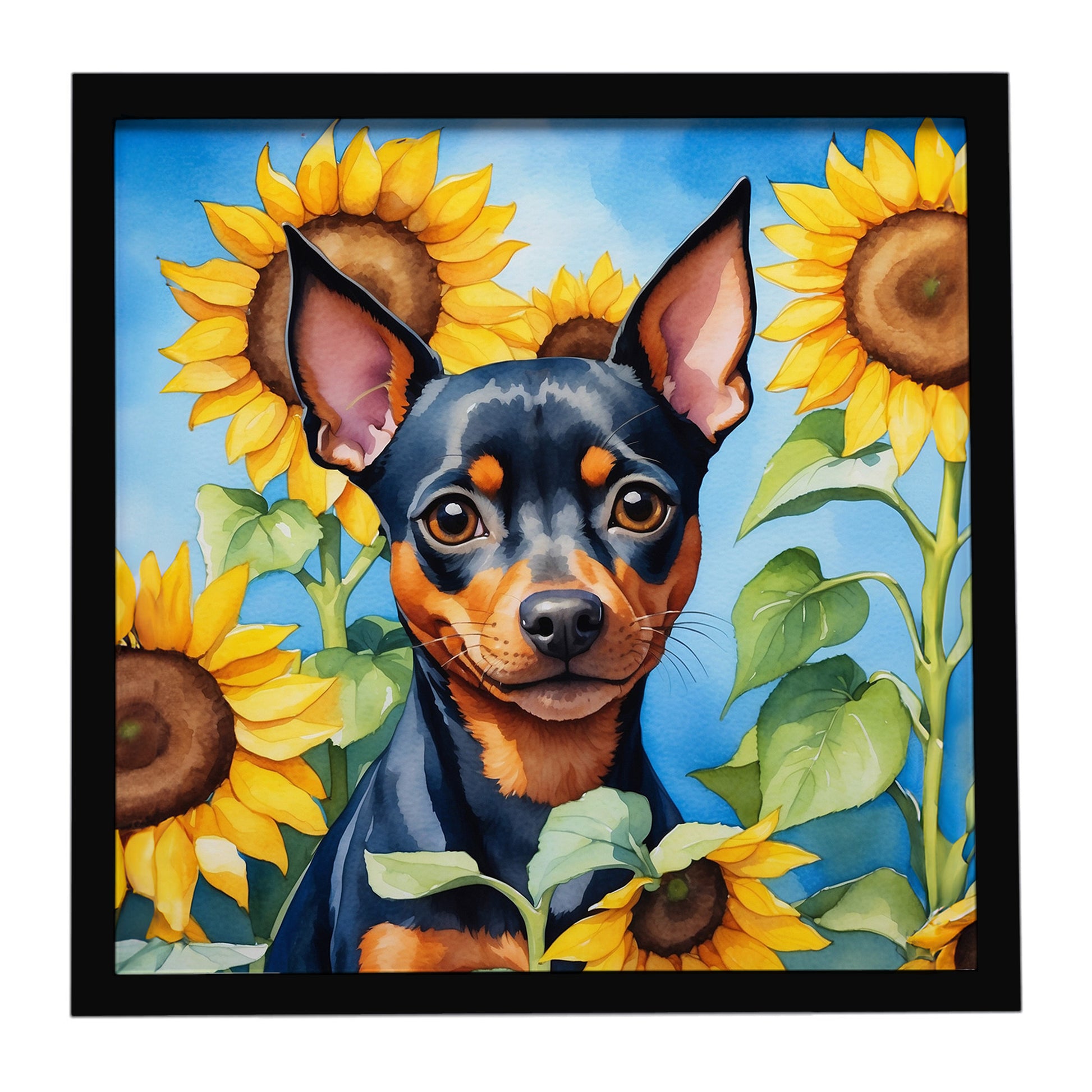 Buy this Miniature Pinscher in Sunflowers Framed Metal Print