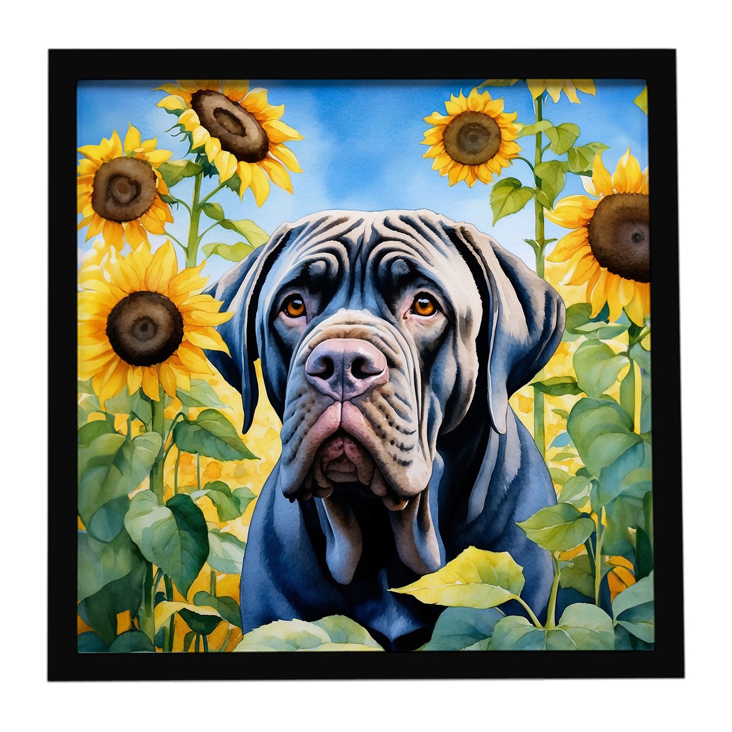 Buy this Neapolitan Mastiff in Sunflowers Framed Metal Print