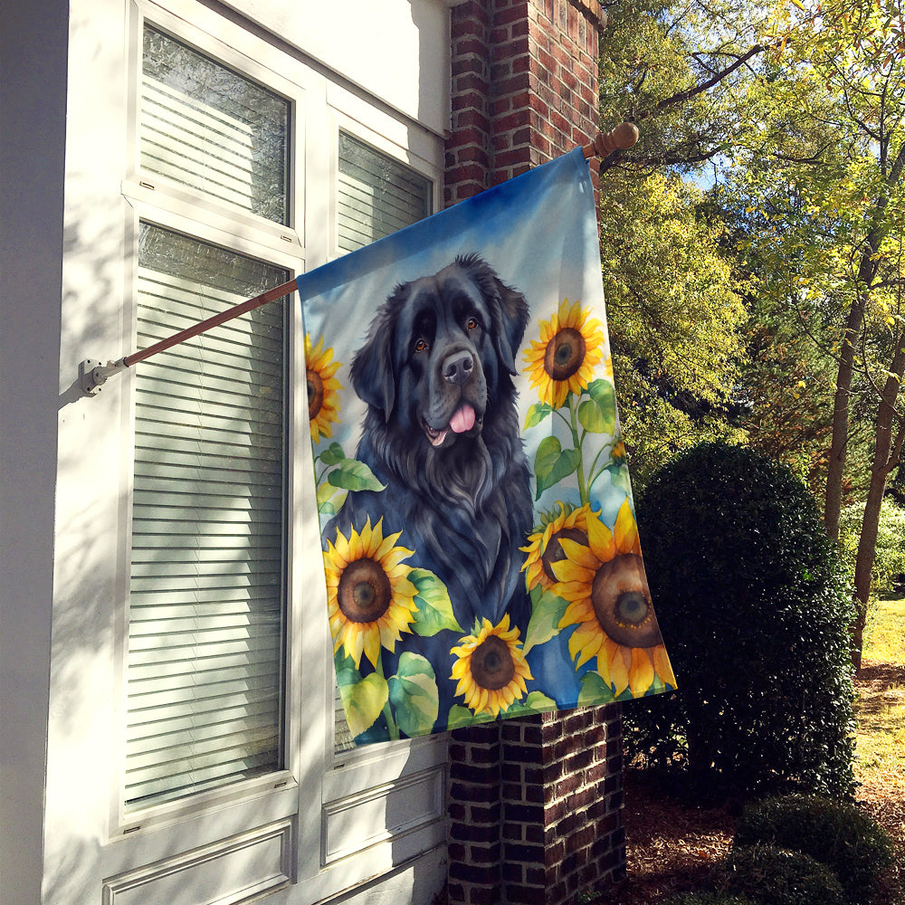 Newfoundland in Sunflowers House Flag