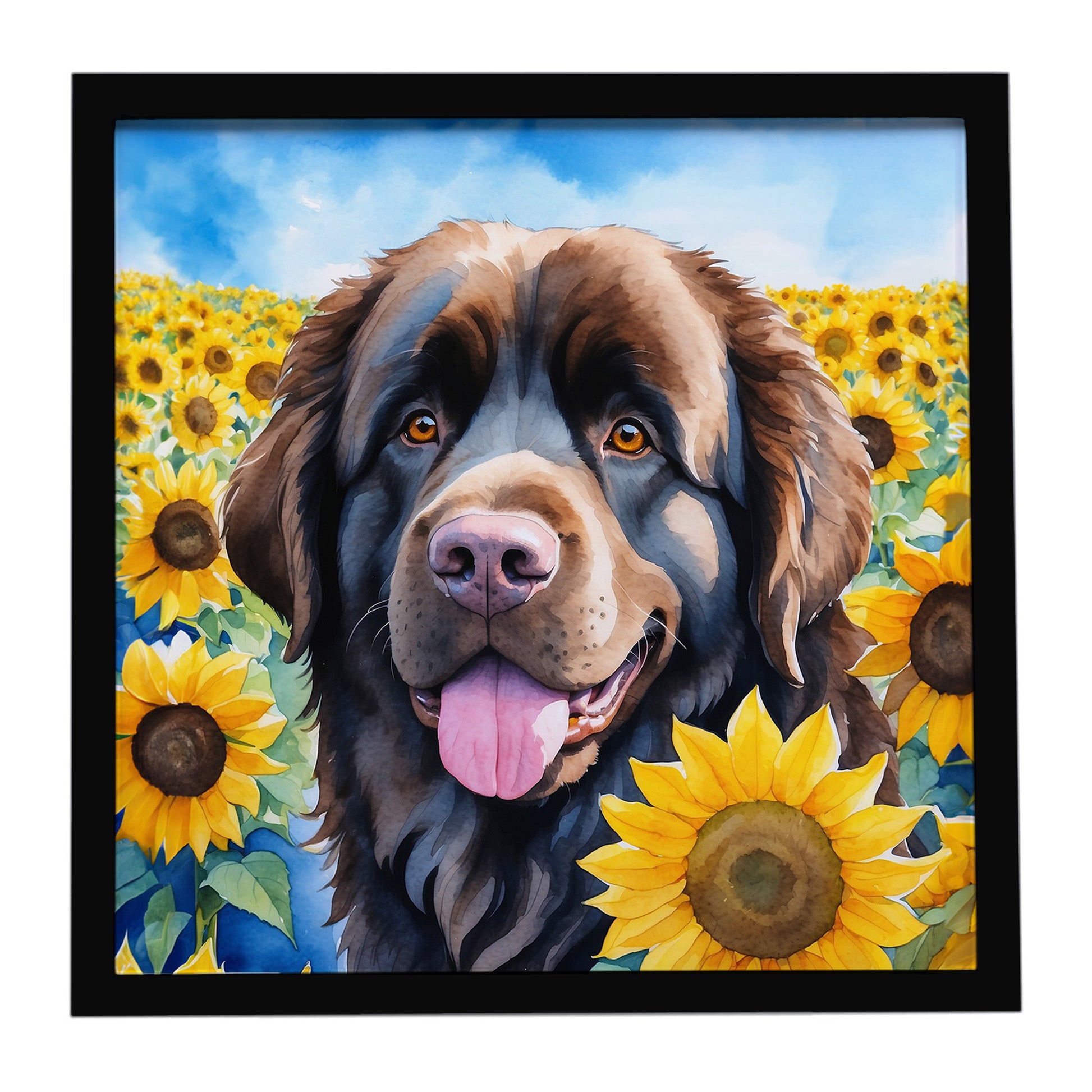 Buy this Newfoundland in Sunflowers Framed Metal Print