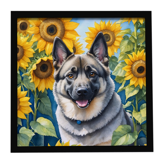 Buy this Norwegian Elkhound in Sunflowers Framed Metal Print