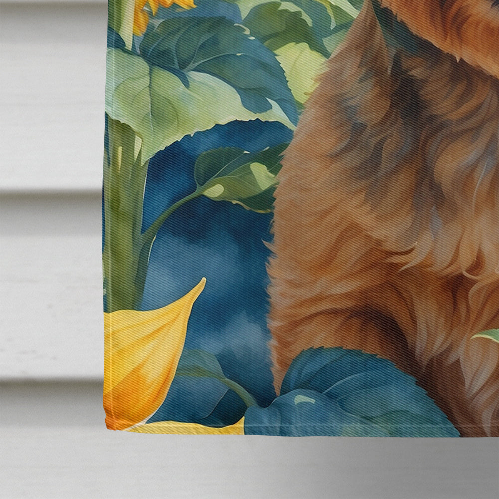 Norwich Terrier in Sunflowers House Flag