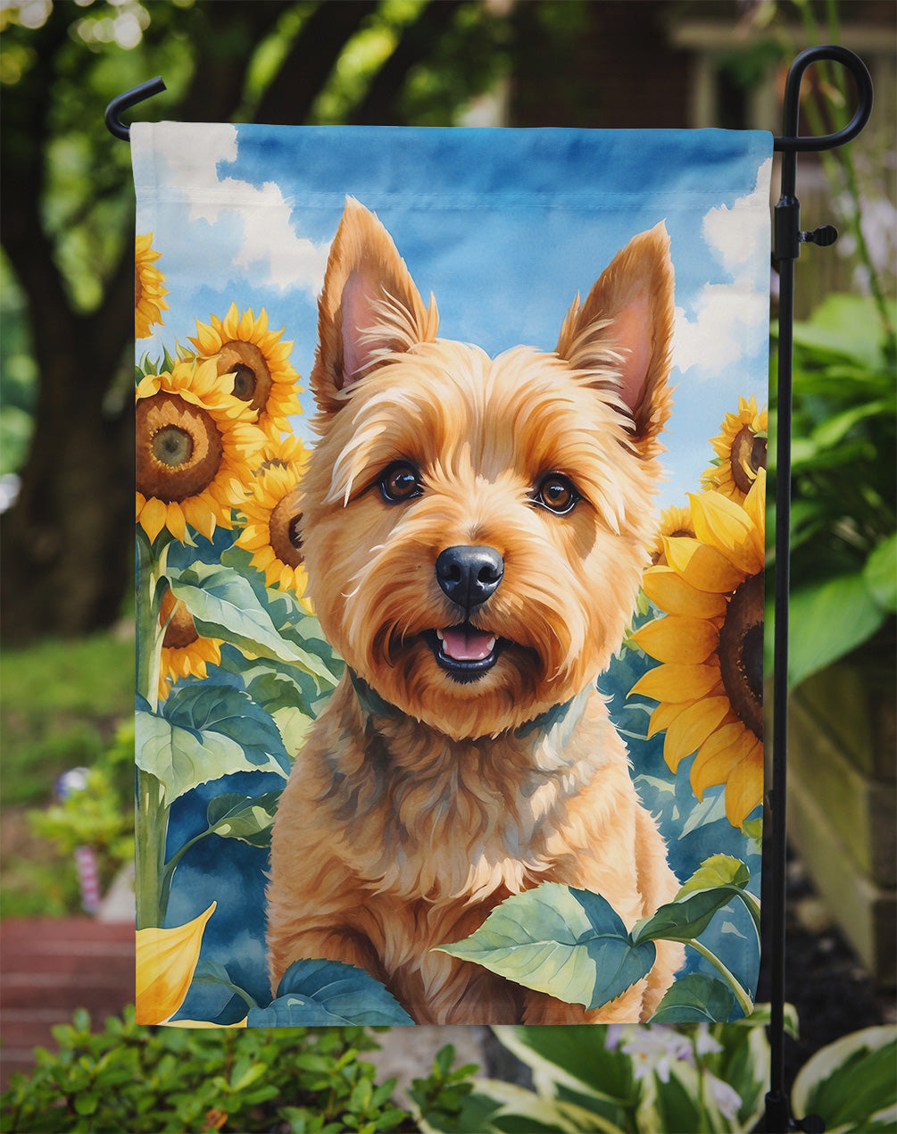 Norwich Terrier in Sunflowers Garden Flag