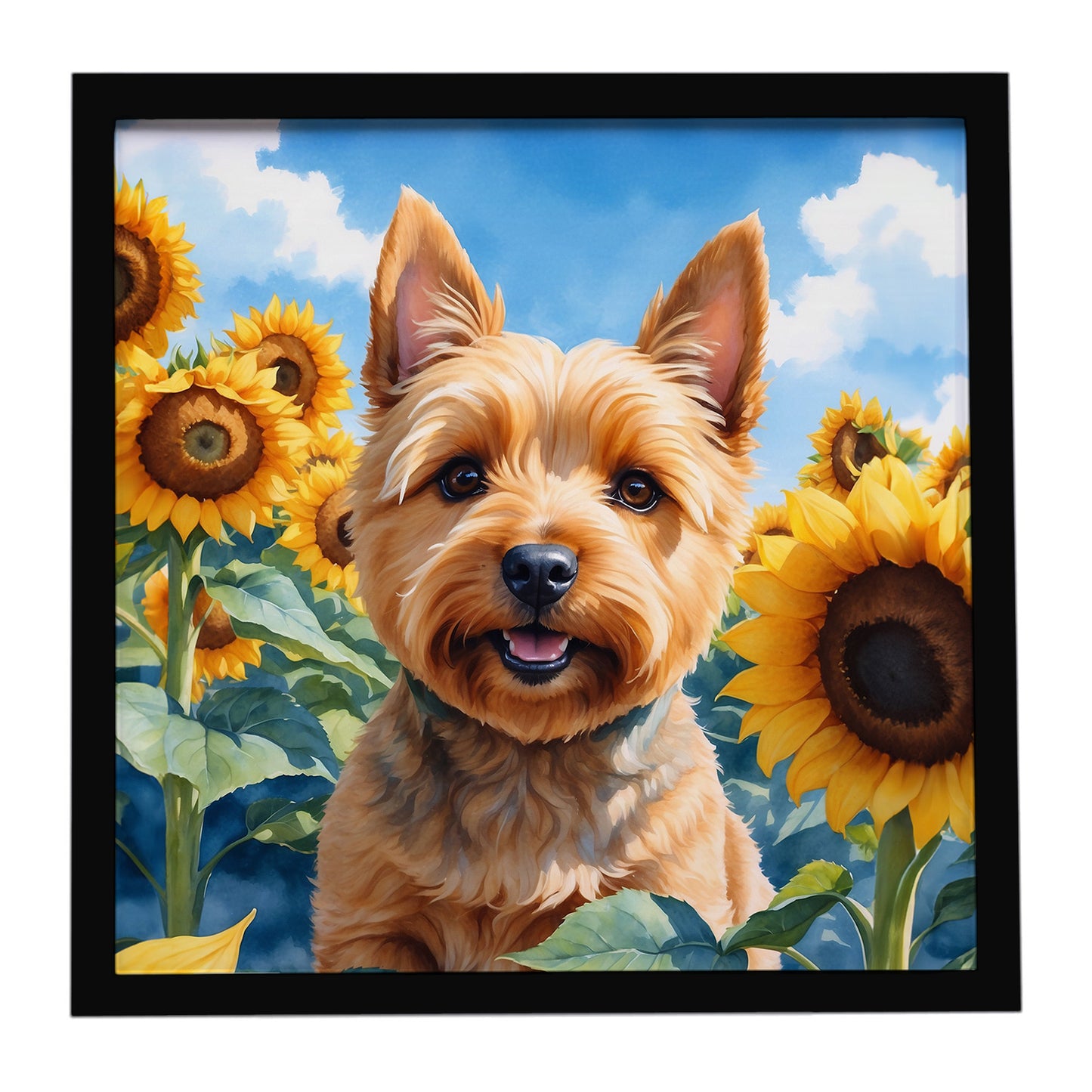 Buy this Norwich Terrier in Sunflowers Framed Metal Print