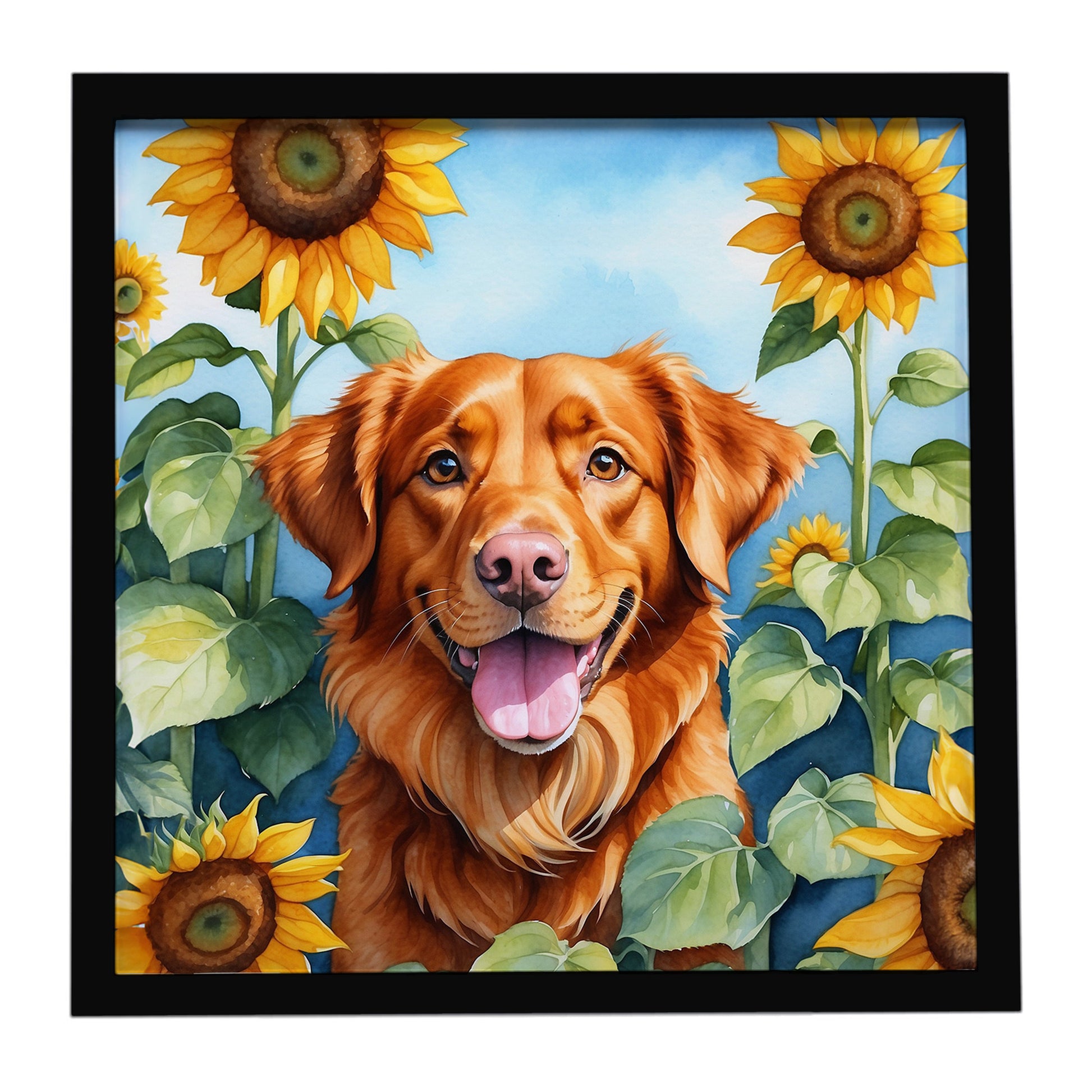 Buy this Nova Scotia Duck Toller in Sunflowers Framed Metal Print