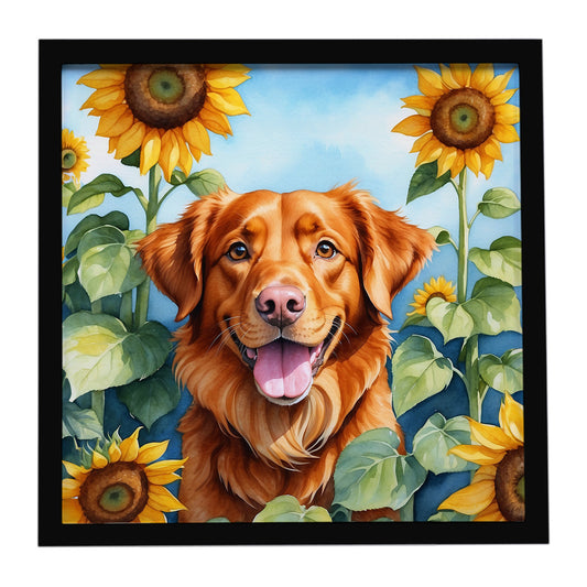 Buy this Nova Scotia Duck Toller in Sunflowers Framed Metal Print