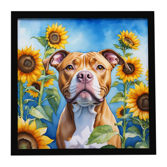 Buy this Pit Bull Terrier in Sunflowers Framed Metal Print