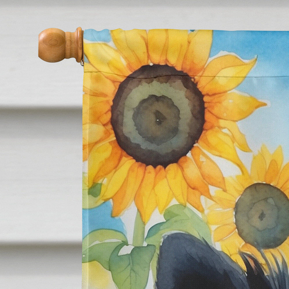 Pomeranian in Sunflowers House Flag