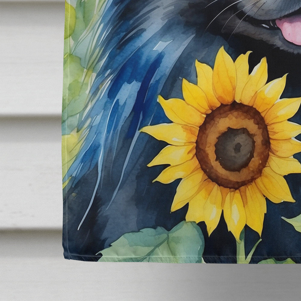 Pomeranian in Sunflowers House Flag