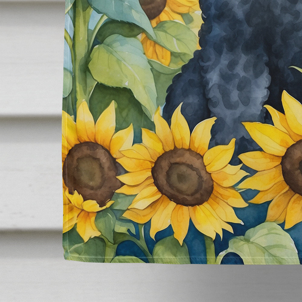 Black Poodle in Sunflowers House Flag