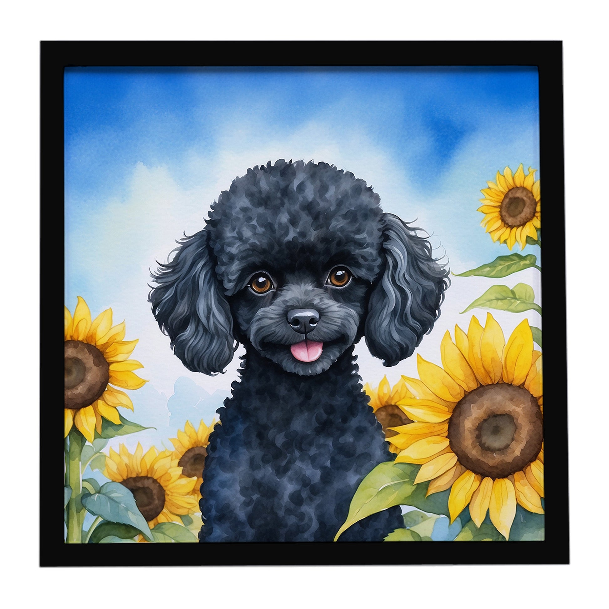 Buy this Black Poodle in Sunflowers Framed Metal Print