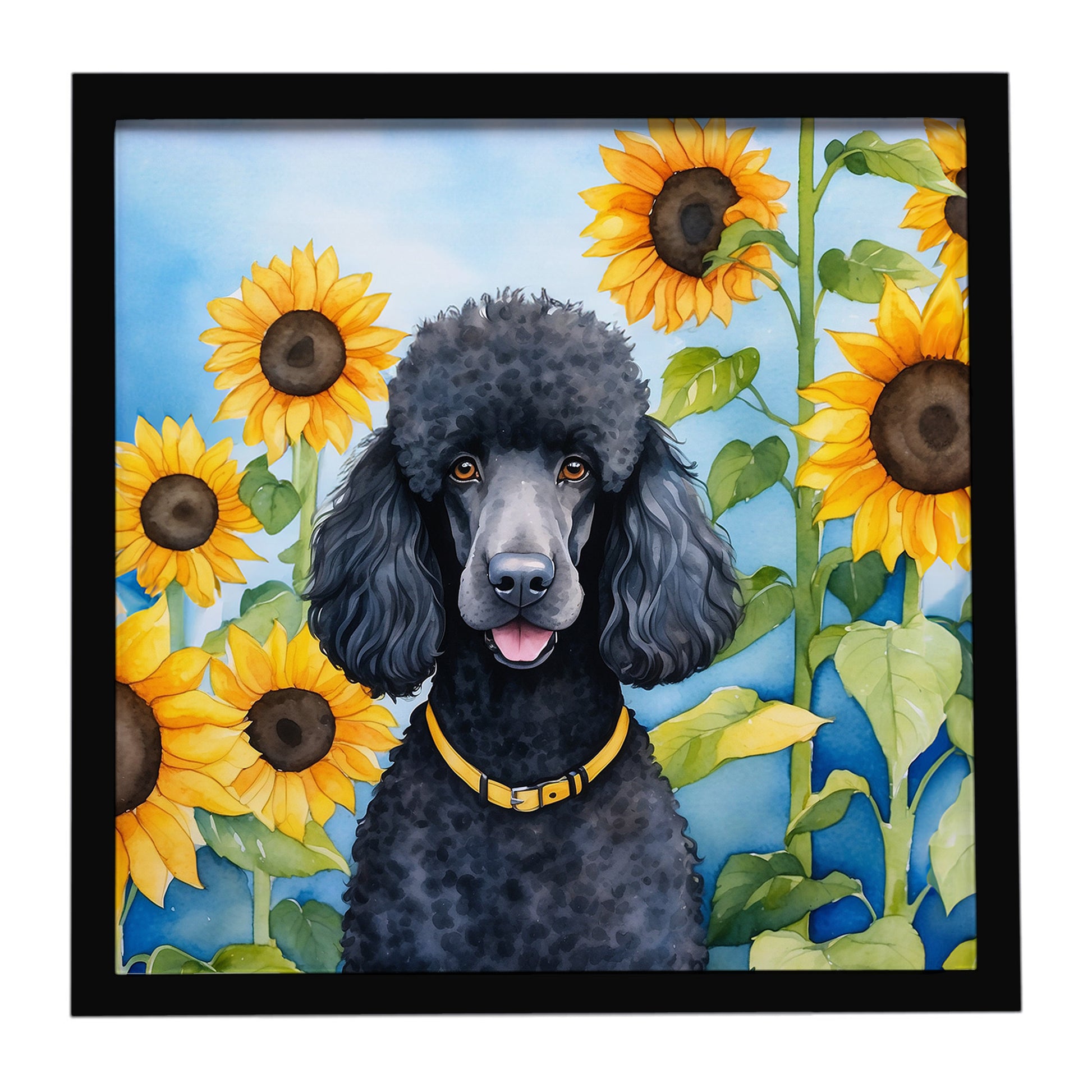 Buy this Black Poodle in Sunflowers Framed Metal Print