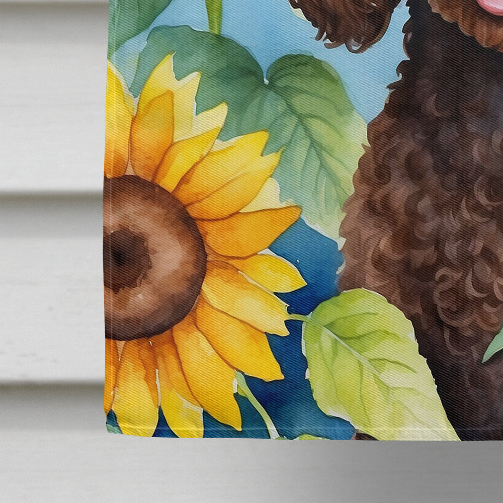 Chocolate Poodle in Sunflowers House Flag