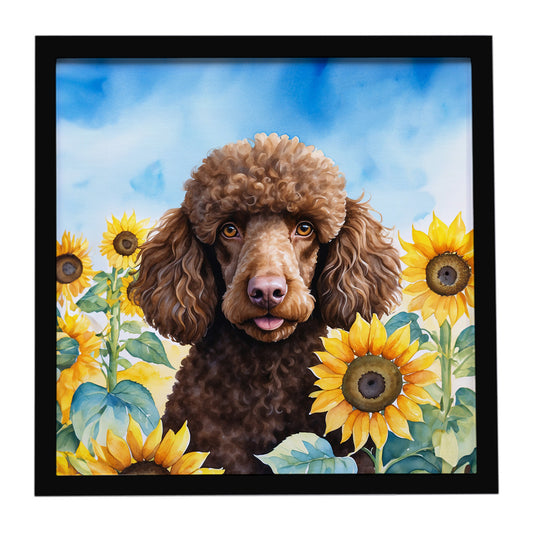Buy this Chocolate Poodle in Sunflowers Framed Metal Print