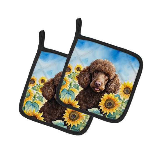 Buy this Chocolate Poodle in Sunflowers Pair of Pot Holders