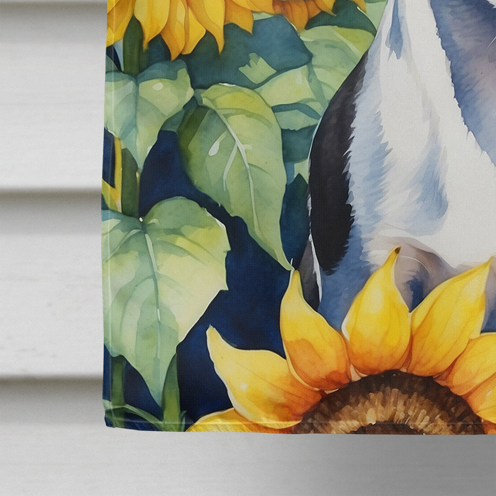 Rat Terrier in Sunflowers House Flag