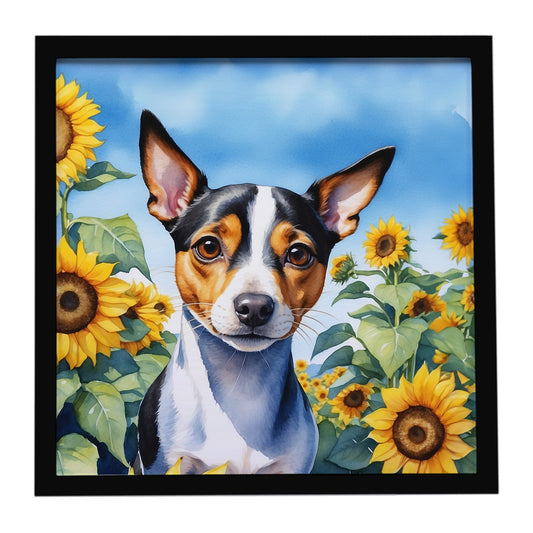 Buy this Rat Terrier in Sunflowers Framed Metal Print