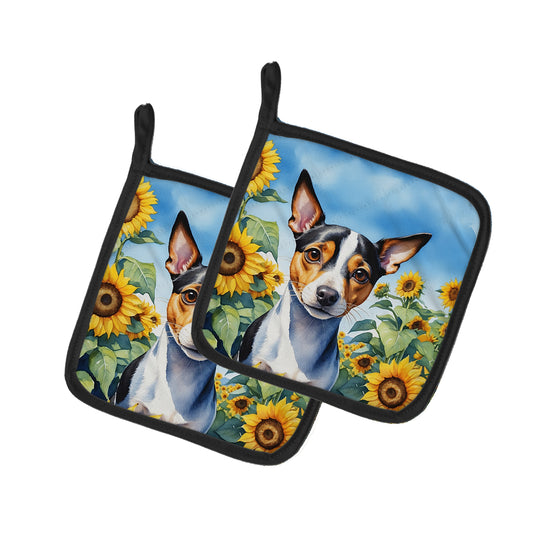 Buy this Rat Terrier in Sunflowers Pair of Pot Holders