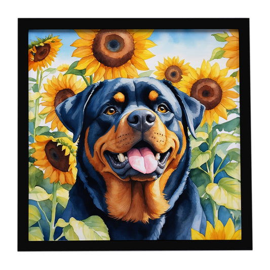 Buy this Rottweiler in Sunflowers Framed Metal Print