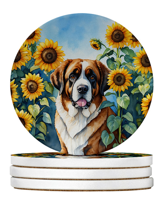 Buy this Saint Bernard in Sunflowers Large Sandstone Coasters Pack of 4