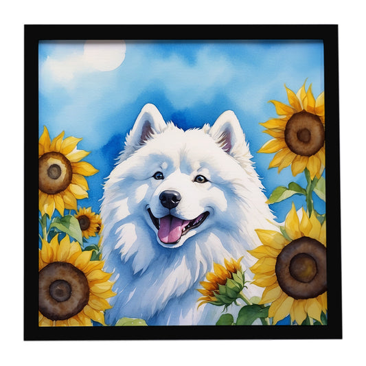Buy this Samoyed in Sunflowers Framed Metal Print