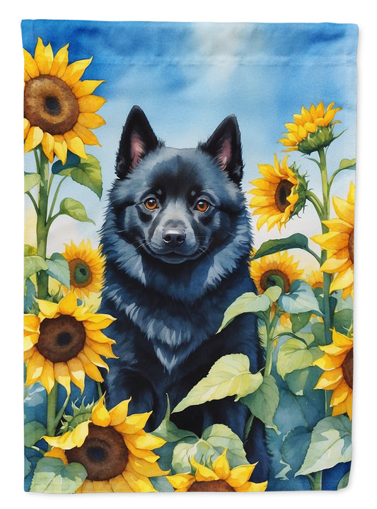 Buy this Schipperke in Sunflowers House Flag