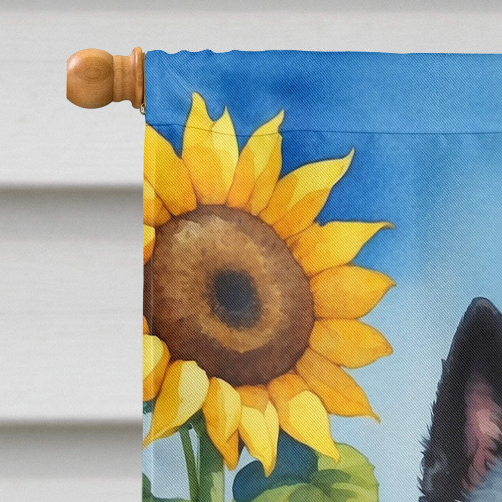 Schipperke in Sunflowers House Flag