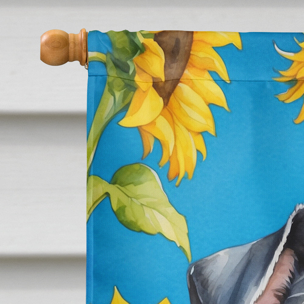 Schnauzer in Sunflowers House Flag