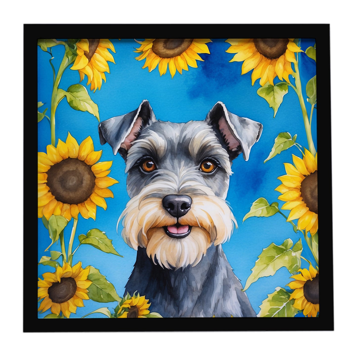Buy this Schnauzer in Sunflowers Framed Metal Print