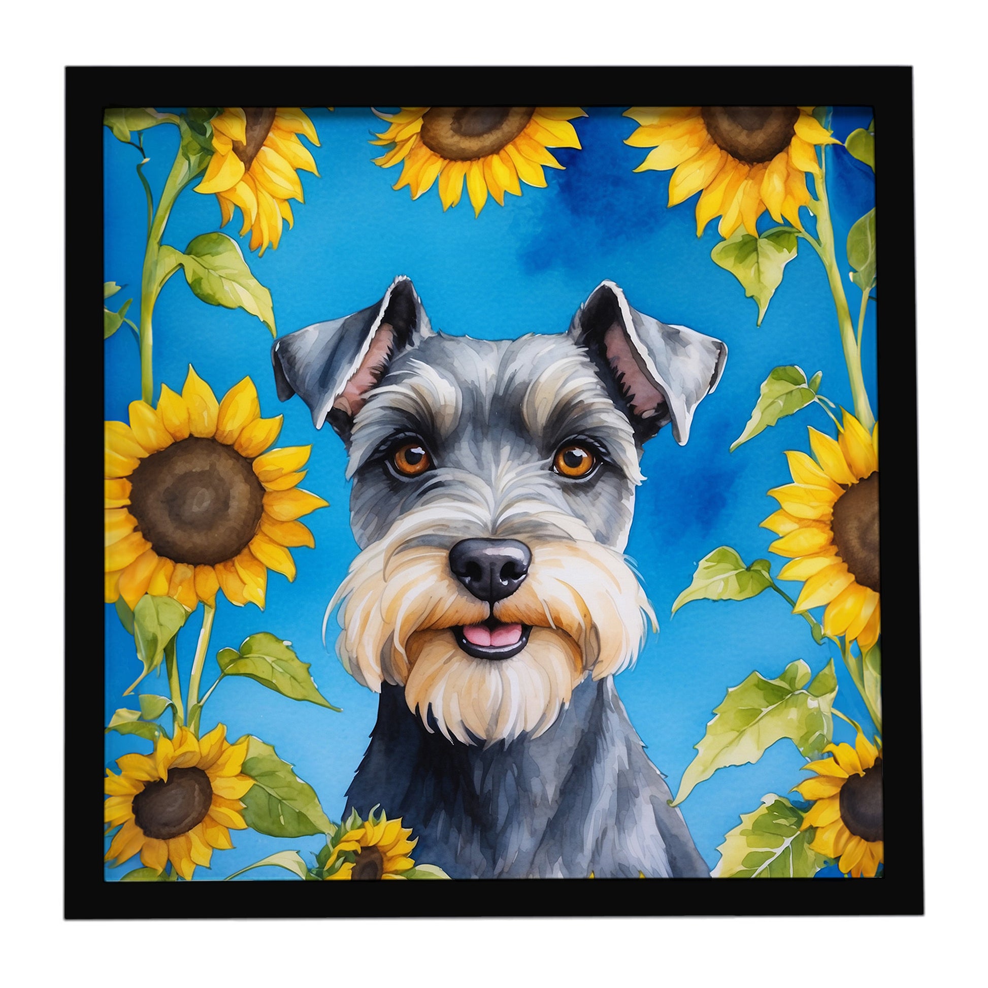 Buy this Schnauzer in Sunflowers Framed Metal Print
