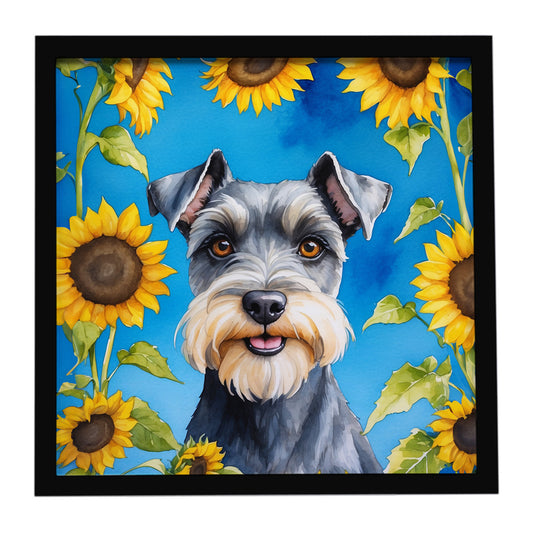 Buy this Schnauzer in Sunflowers Framed Metal Print