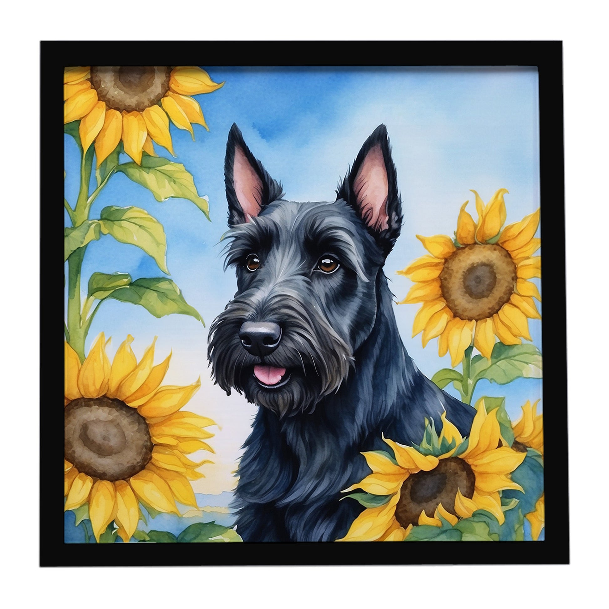 Buy this Scottish Terrier in Sunflowers Framed Metal Print