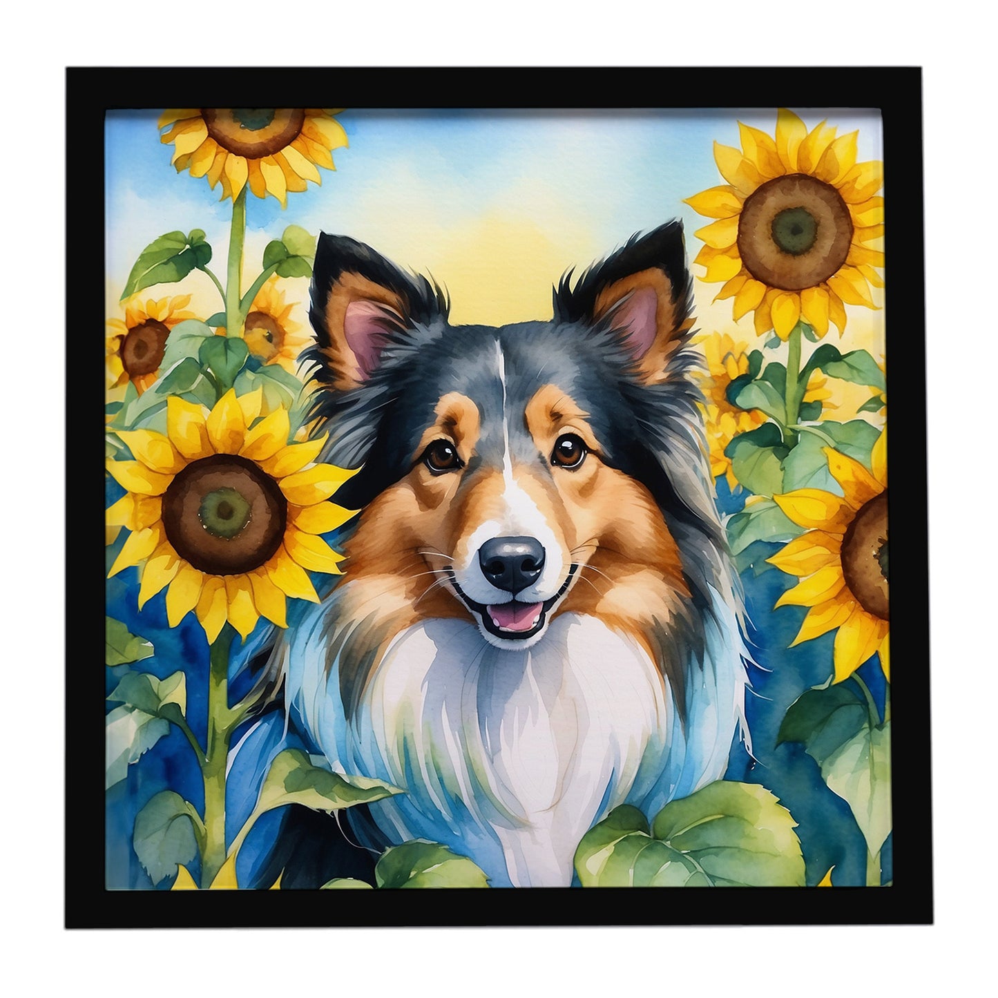 Buy this Sheltie in Sunflowers Framed Metal Print