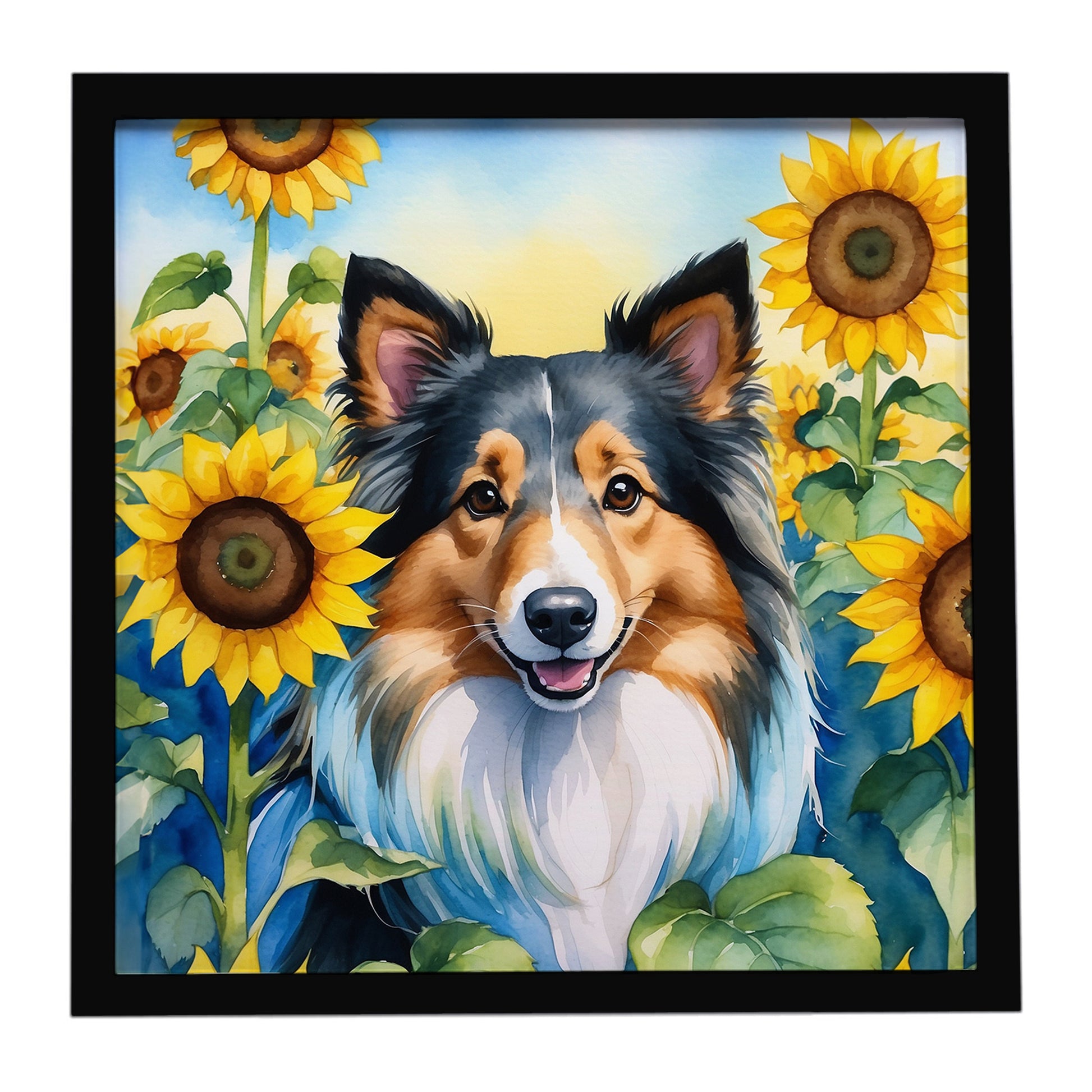 Buy this Sheltie in Sunflowers Framed Metal Print
