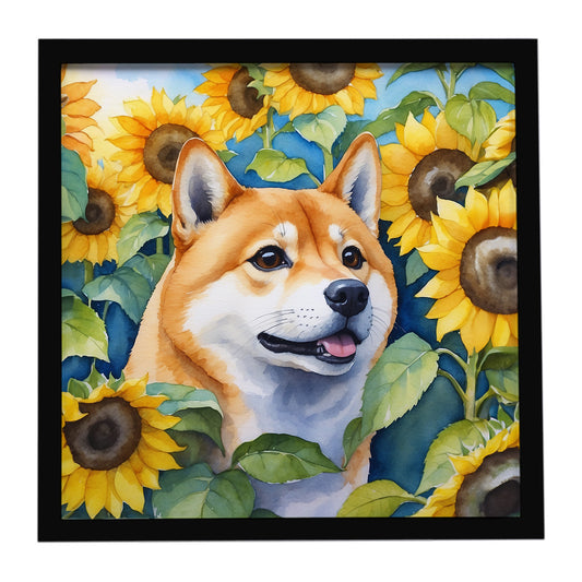 Buy this Shiba Inu in Sunflowers Framed Metal Print