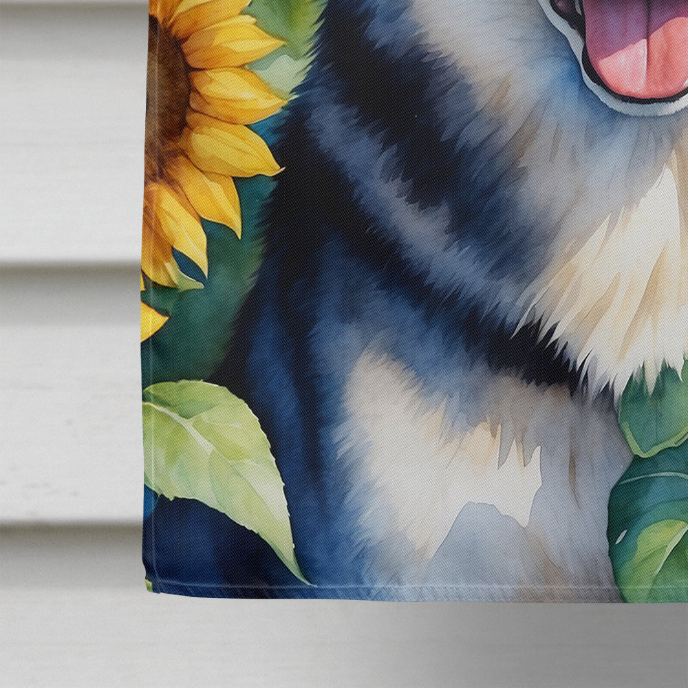 Siberian Husky in Sunflowers House Flag