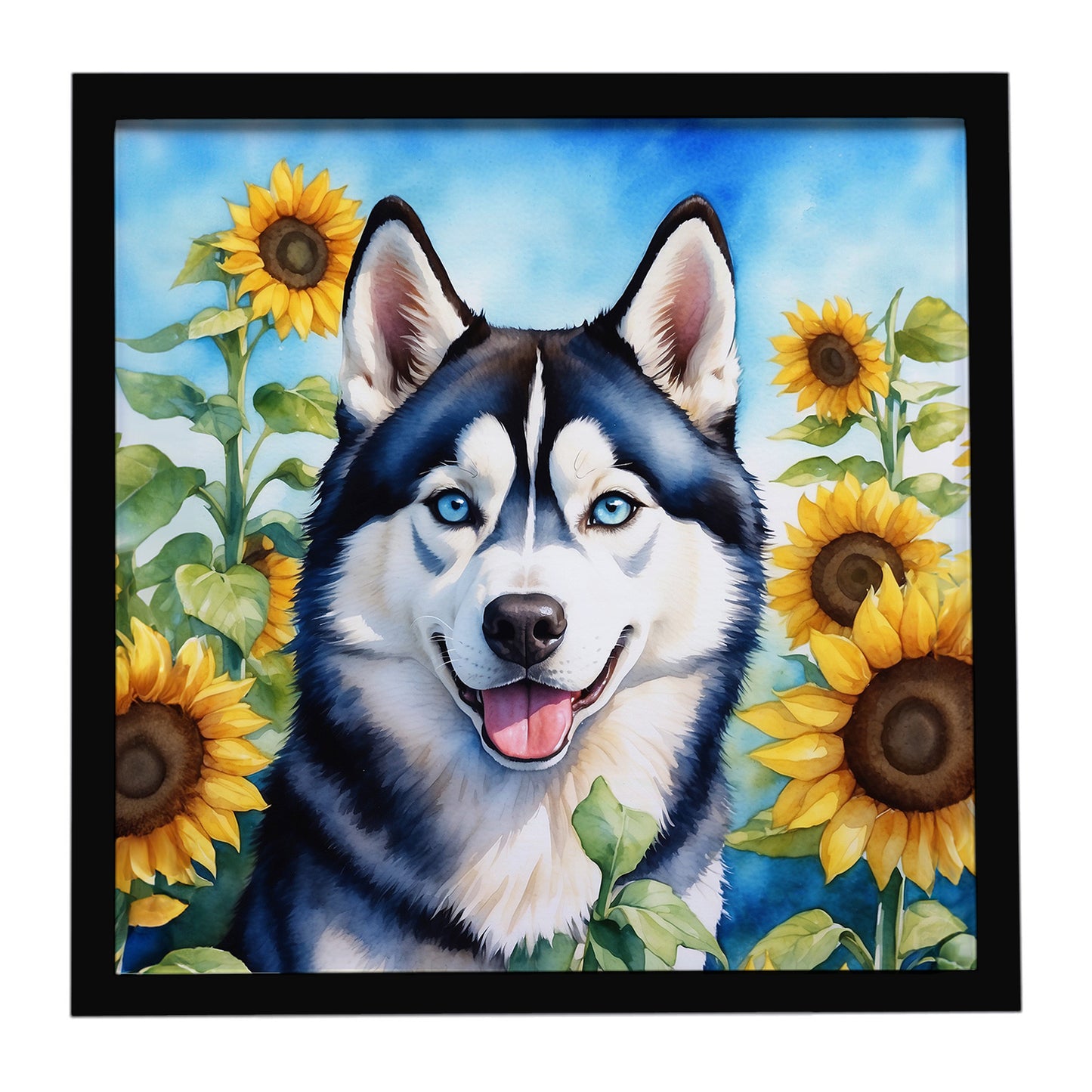Buy this Siberian Husky in Sunflowers Framed Metal Print