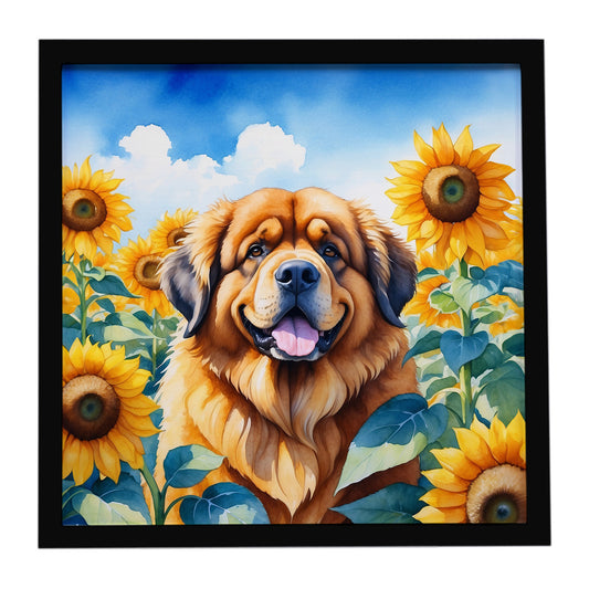 Buy this Tibetan Mastiff in Sunflowers Framed Metal Print