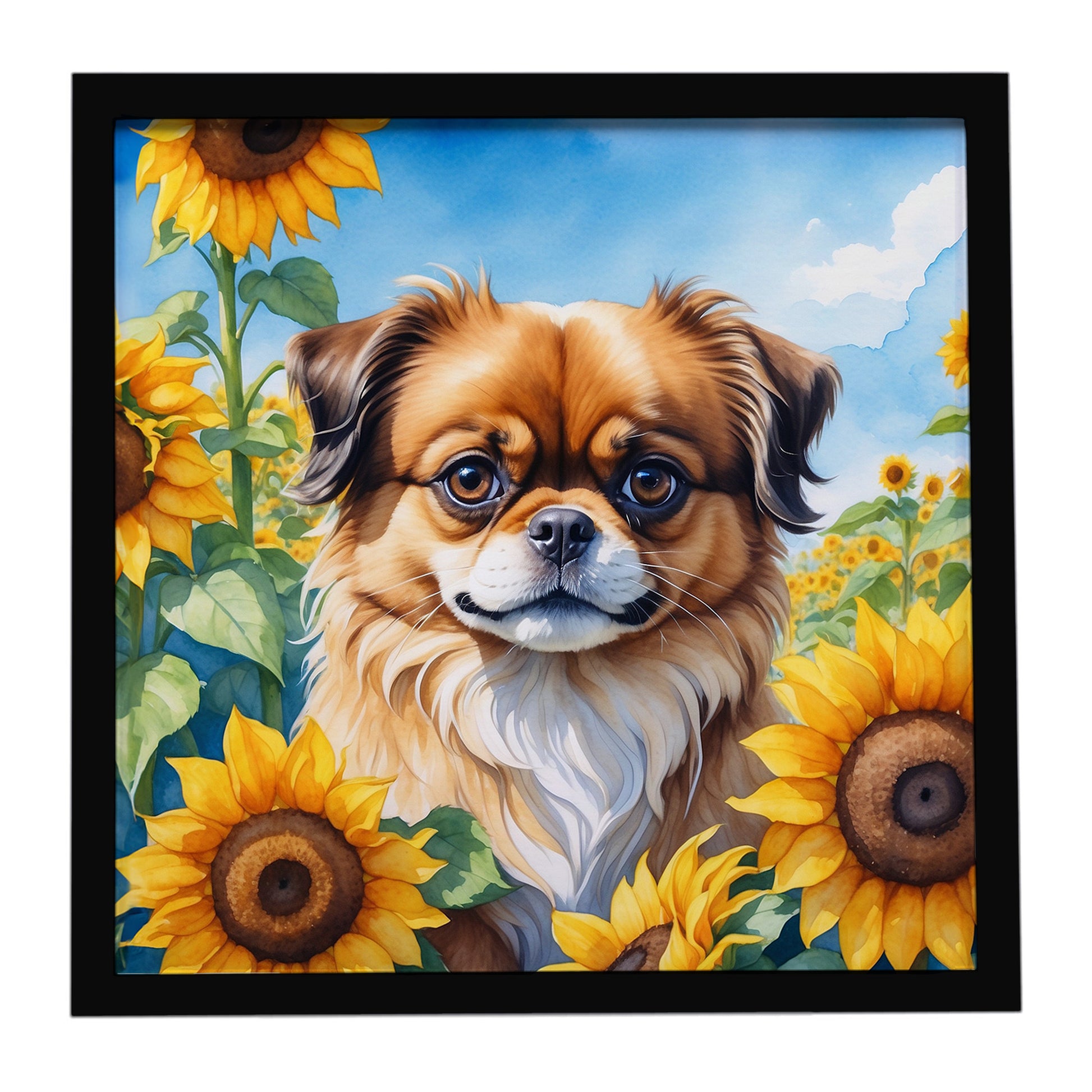 Buy this Tibetan Spaniel in Sunflowers Framed Metal Print