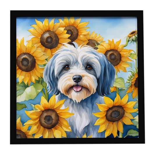 Buy this Tibetan Terrier in Sunflowers Framed Metal Print