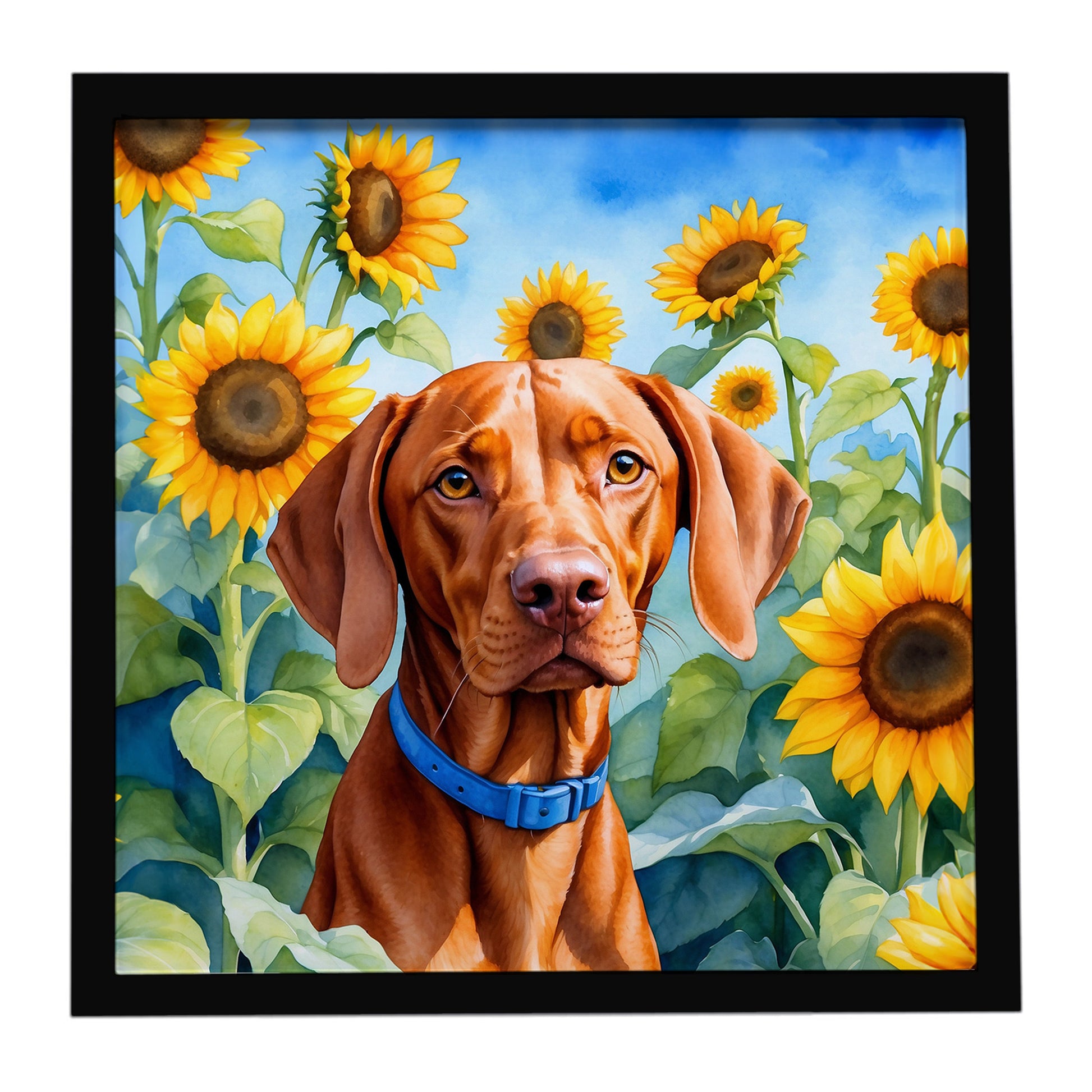 Buy this Vizsla in Sunflowers Framed Metal Print