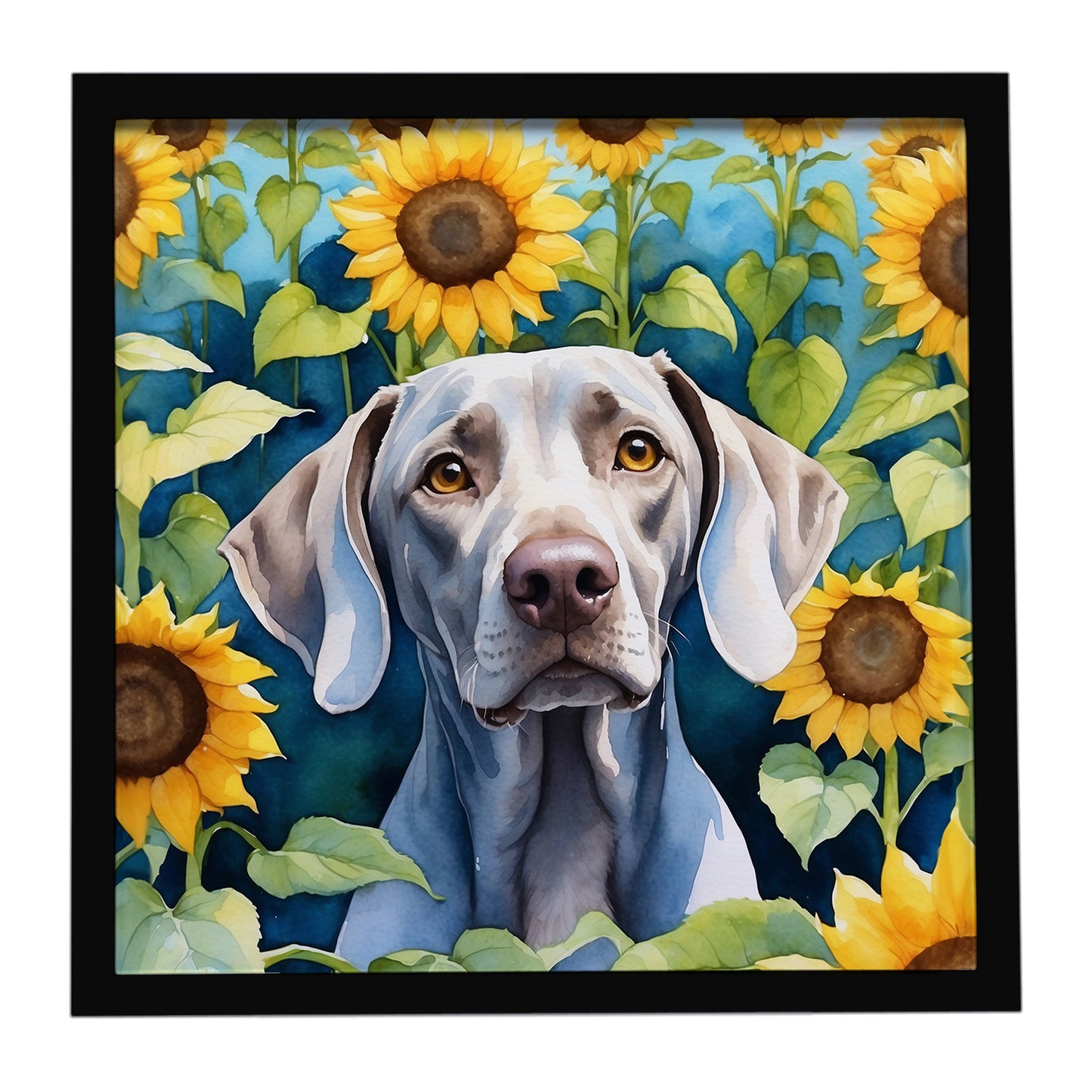 Buy this Weimaraner in Sunflowers Framed Metal Print