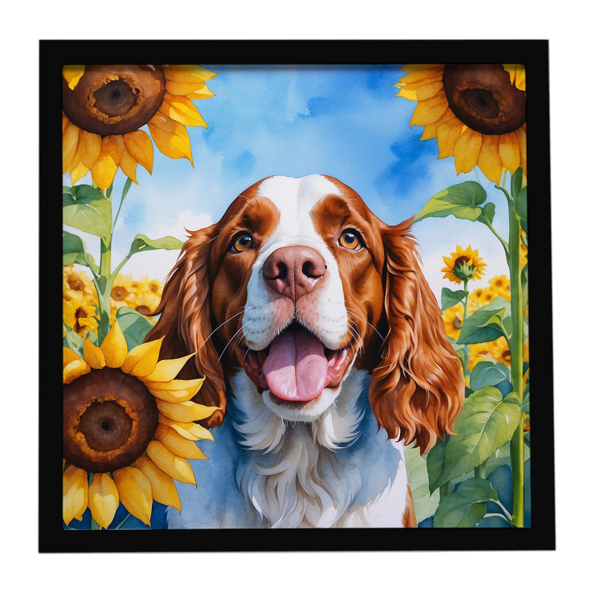 Buy this Welsh Springer Spaniel in Sunflowers Framed Metal Print