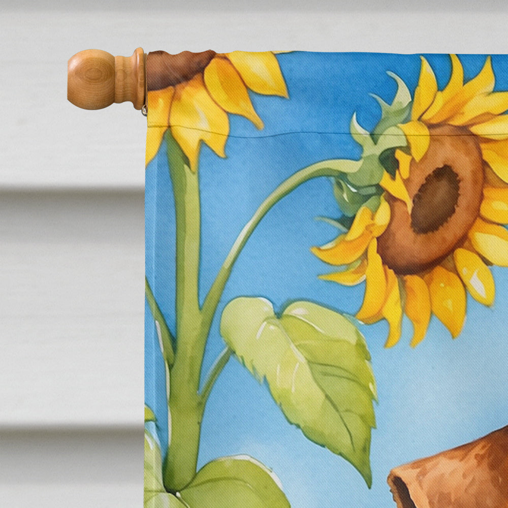 Welsh Terrier in Sunflowers House Flag